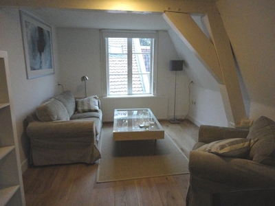 Appartement te huur Nieuwe Rijn, Leiden