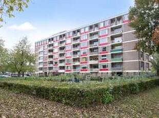 Appartement te huur in Amersfoort