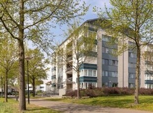 Appartement te huur in Amersfoort