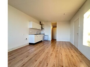 Huur 1 slaapkamer appartement van 30 m² in Brabantpark