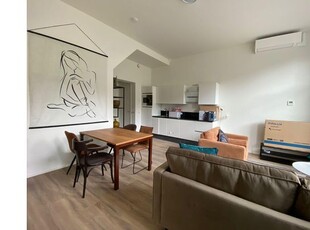 Huur 3 slaapkamer appartement van 55 m² in Groningen