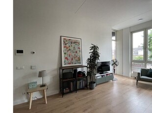 Huur 3 slaapkamer appartement van 85 m² in Burgemeestersbuurt