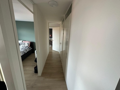 Appartement Molukkenstraat in Groningen