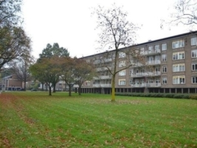 Appartement te huur in Tilburg