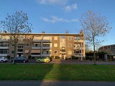 Bovenwoning te huur in Alkmaar