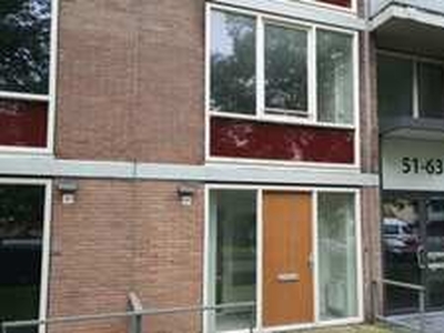 Portiekflat te huur in Haarlem