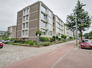 Aaltje Noordewierstraat 69