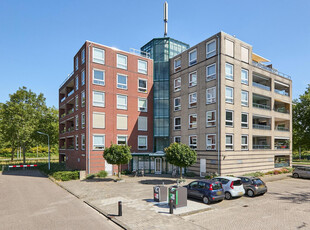 Hannie Schaftstraat 49