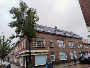 Delft - C. Fockstraat