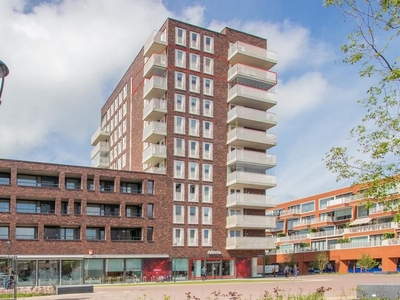 Gouden Leeuwplein 50