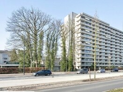 Appartement te huur in Eindhoven