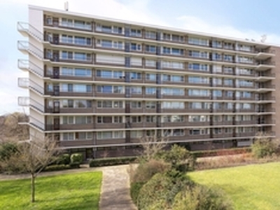 Appartement te huur in Leiden