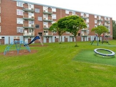 Appartement te huur in Leiden