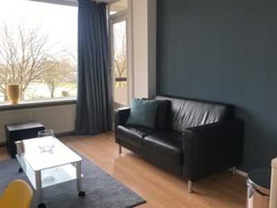 Appartement te huur in Leiden