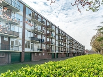 Appartement te huur in Leiden