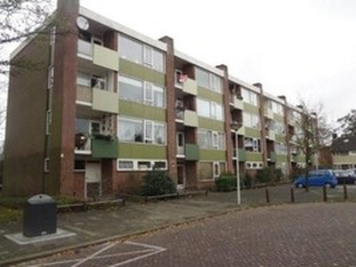 Appartement te huur in Leiden