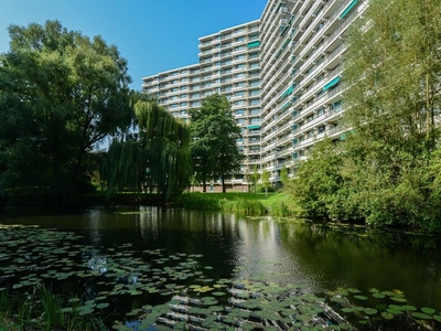 Groningensingel 609