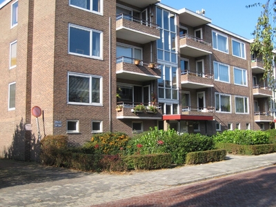 Snelliusstraat 109