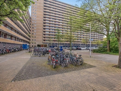 Bosboom-Toussaintplein in Delft (66m2)