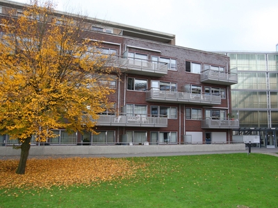 Hofplein in Woerden (60m2)