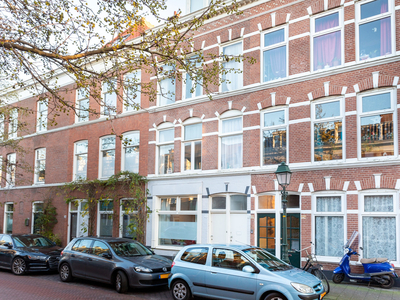 Newtonstraat 218