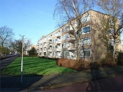 Sportlaan in Amstelveen (80m2)