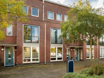 Wapendragervlinder in Utrecht (168m2)