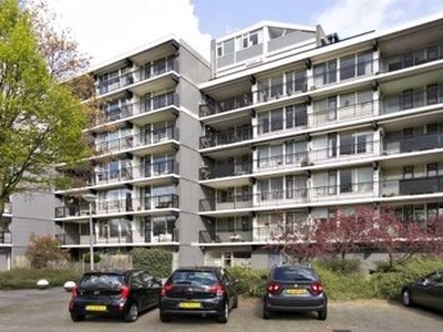 Buitenpepersdreef in 's-Hertogenbosch (58m2)