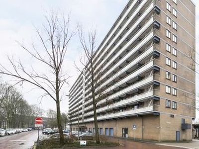 Groenhof in Amstelveen (46m2)