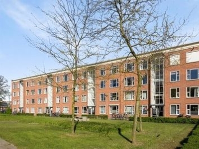 Limietlaan in 's-Hertogenbosch (66m2)