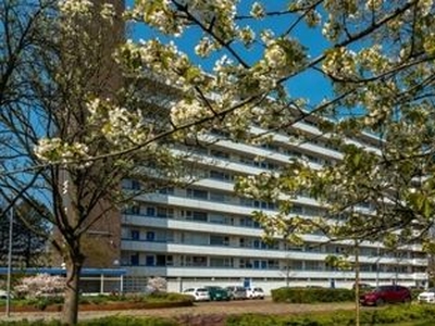 Lindenhof in Amstelveen (43m2)