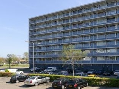 Vliestroom in Alphen aan den Rijn (45m2)