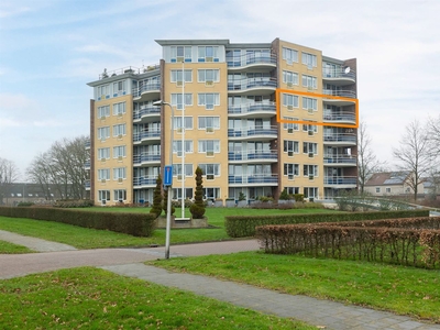 Rijn 53