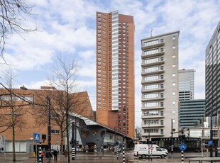 Bulgersteyn 7255, Rotterdam