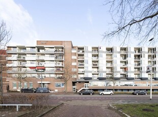 Wijckermolen 120, Beverwijk