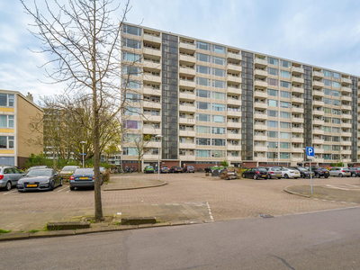 Eisenhowerlaan 302