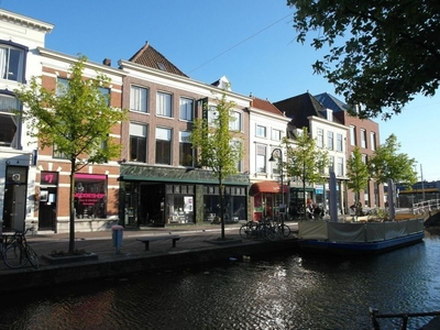 Binnenwatersloot in Delft (45m2)