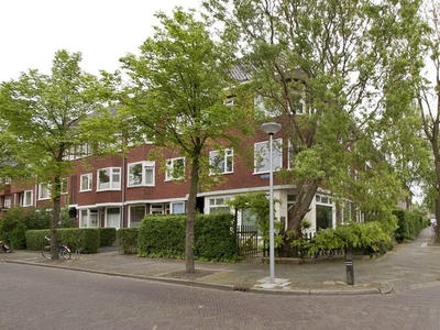 Star Numanstraat 71