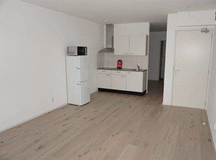 Appartement te huur Griegstraat, Delft