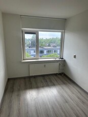 Kamer te huur Treubstraat, Nijmegen