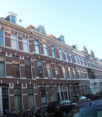 Newtonstraat 318