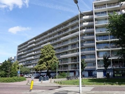 Arendshorst in Leiden (88m2)