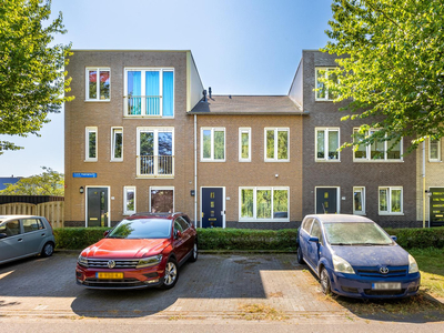 Carol Vogesgracht 30