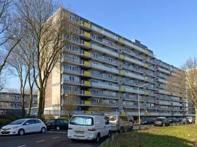 De Brink in 's-Gravenhage (85m2)