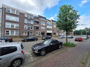 Voltstraat 46 03