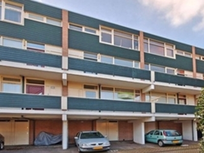 Appartement te huur in Alkmaar