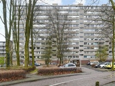 Appartement te huur in Delft