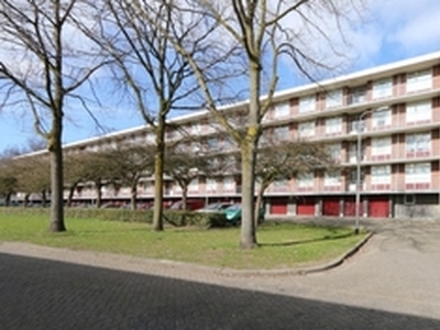 Appartement te huur in Tilburg