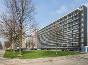 Appartement te huur in Breda