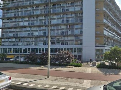 Baden Powellweg in Amsterdam (94m2)